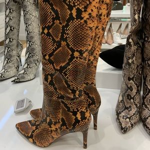 Meet your Posher, Shay